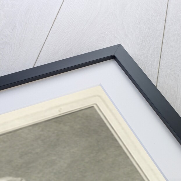 Portrait of Joannes Deknatel by Cornelis van Noorde