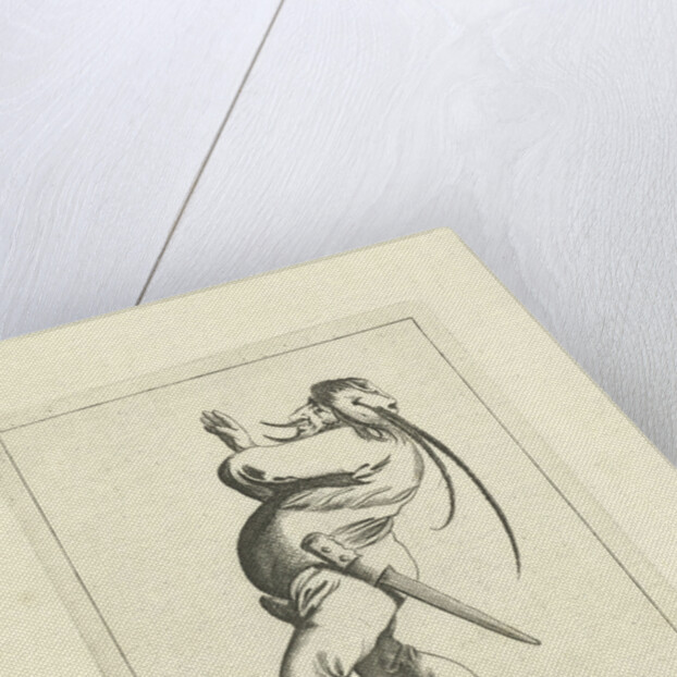 Wielding fool by Frederik de Wit