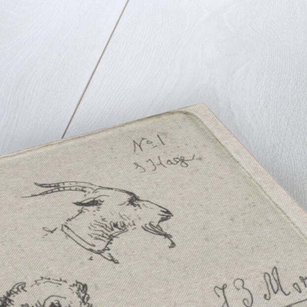 Mans Head, goat and owl by Jan Evert Morel II