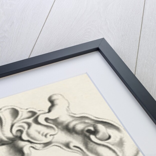 Cartouche with lobe ornament, a top shell shape by Clement de Jonghe