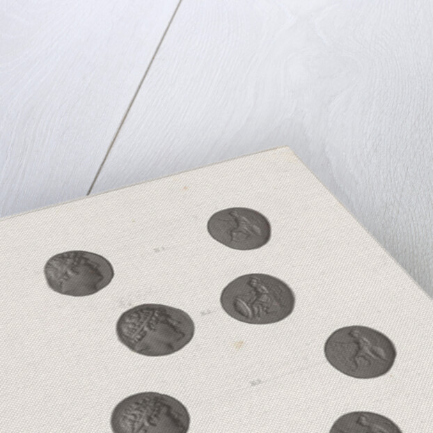 Roman coins by Jan Dam Steuerwald