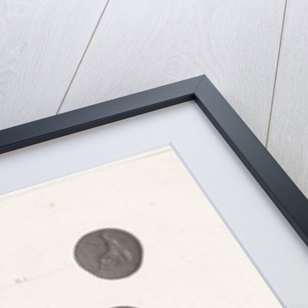 Roman coins by Jan Dam Steuerwald