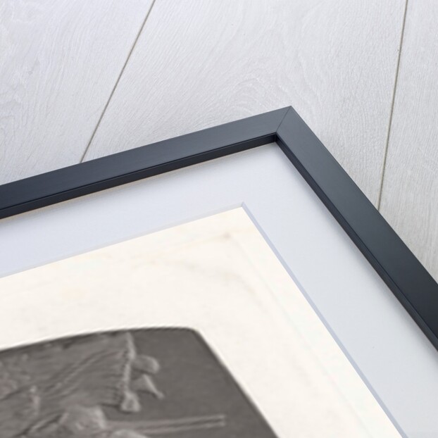 Cameo with the triumph of Germanicus and Agrippina by Jan Dam Steuerwald