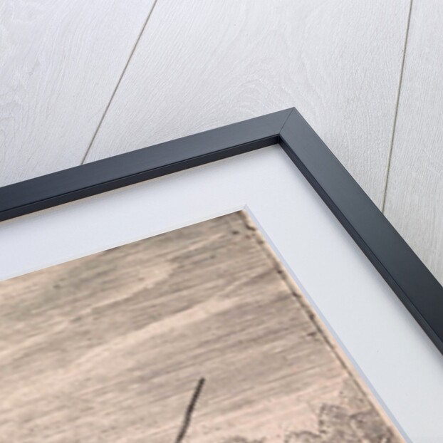 The braying donkey by Cornelis de Wael