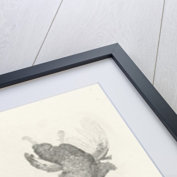 Woman with basket of fruit in your hand at the window by Gerard Dou