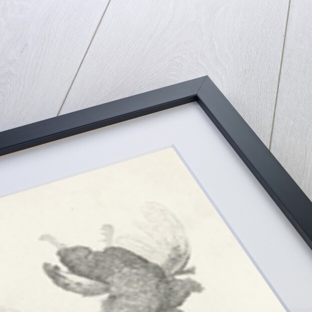 Woman with basket of fruit in your hand at the window by Gerard Dou