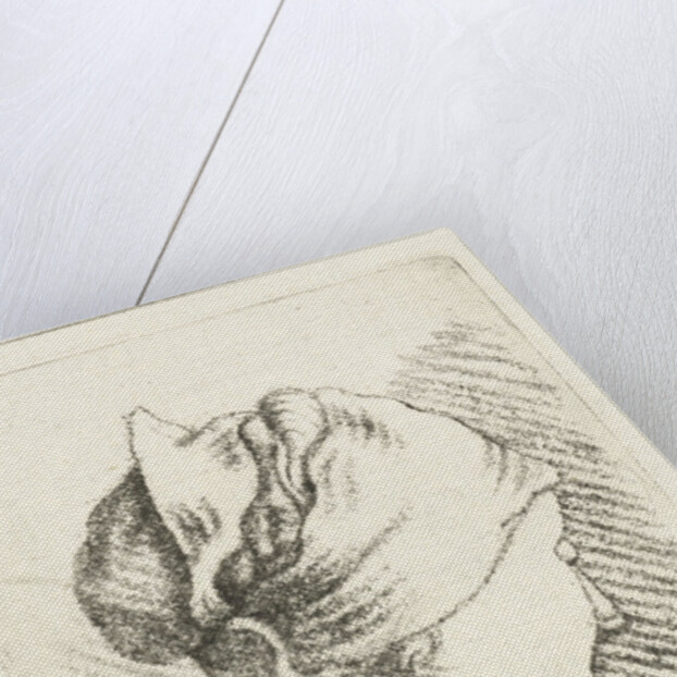 Study Sheet with a woman with head scarf by Louis Bernard Coclers