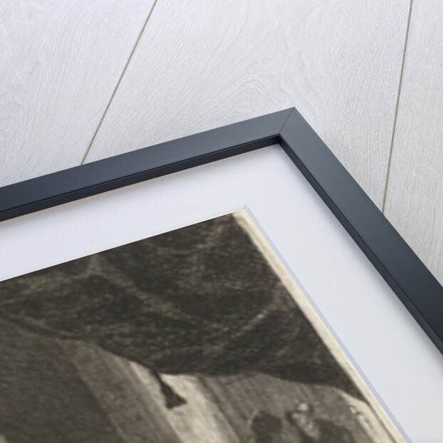 Young woman reading a letter by Louis Bernard Coclers