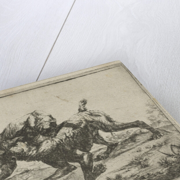 Fighting dogs by Pauwels van Hillegaert