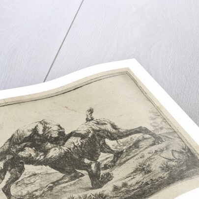 Fighting dogs by Pauwels van Hillegaert