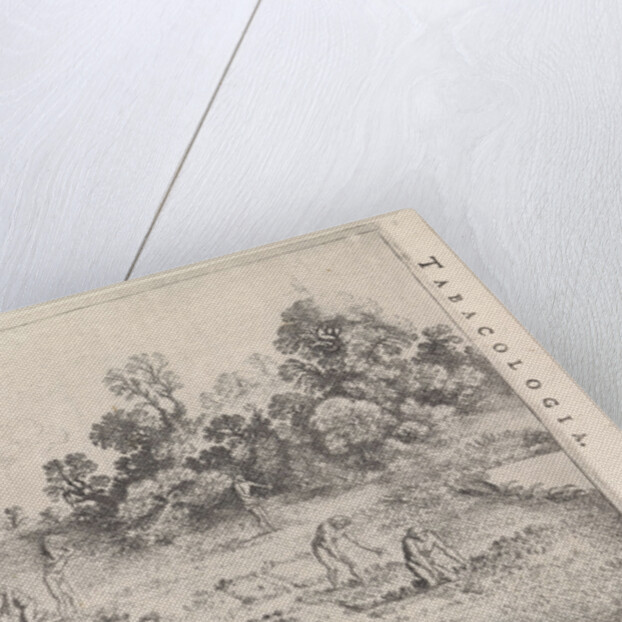 Indians picking tobacco by Isaac Elzevier