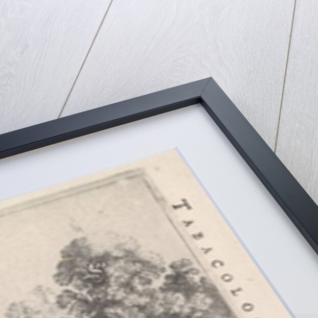 Indians picking tobacco by Isaac Elzevier