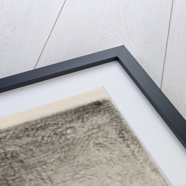 Horse gets horseshoes in a forge by Cornelis Albertus Johannes Schermer