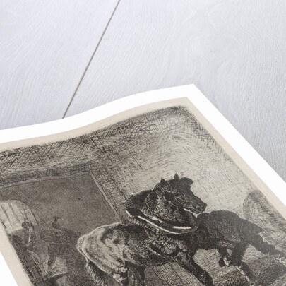 Horse gets horseshoes in a forge by Cornelis Albertus Johannes Schermer