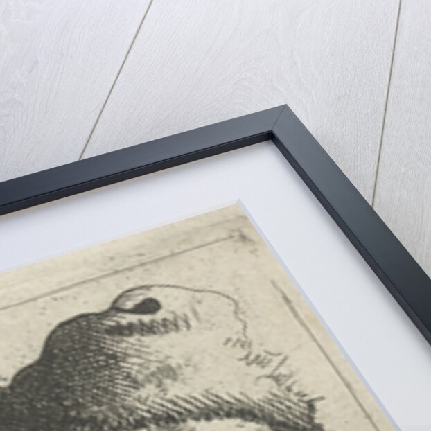 Portrait of an old man with a fur hat by Pieter Jansz. Quast