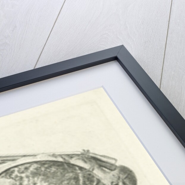 H Hubertus by Cornelis van Noorde