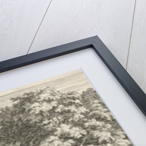 Pan and Syrinx by Albert Meyeringh