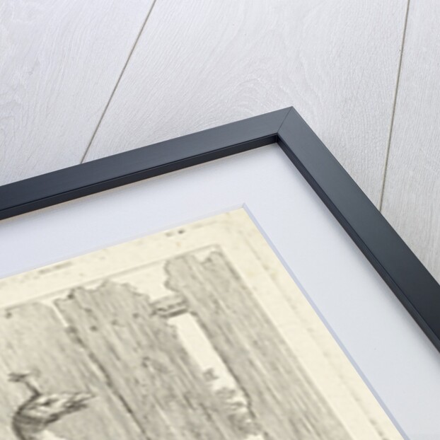 Three peacocks by Peter Casteels III