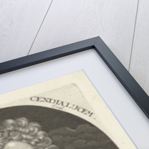 Portrait of Baron Menno van Coehoorn by Cornelis Apeus