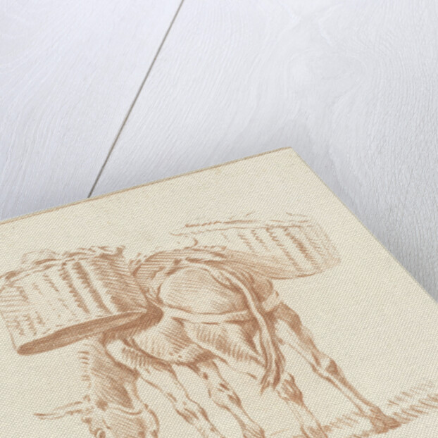 Loaded donkey by Jurriaan Cootwijck