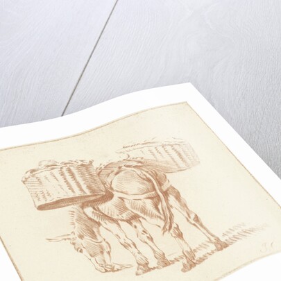 Loaded donkey by Jurriaan Cootwijck