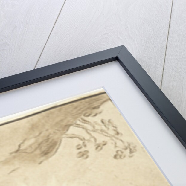 Saint Francis by Jurriaan Cootwijck