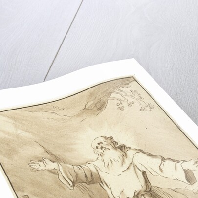 Saint Francis by Jurriaan Cootwijck