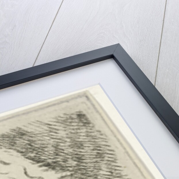 Head of a calf, in profile, resting on a beam by Hermanus Fock