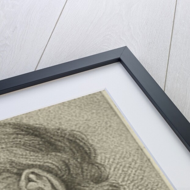 Portrait of an old man in profile by Hermanus Fock