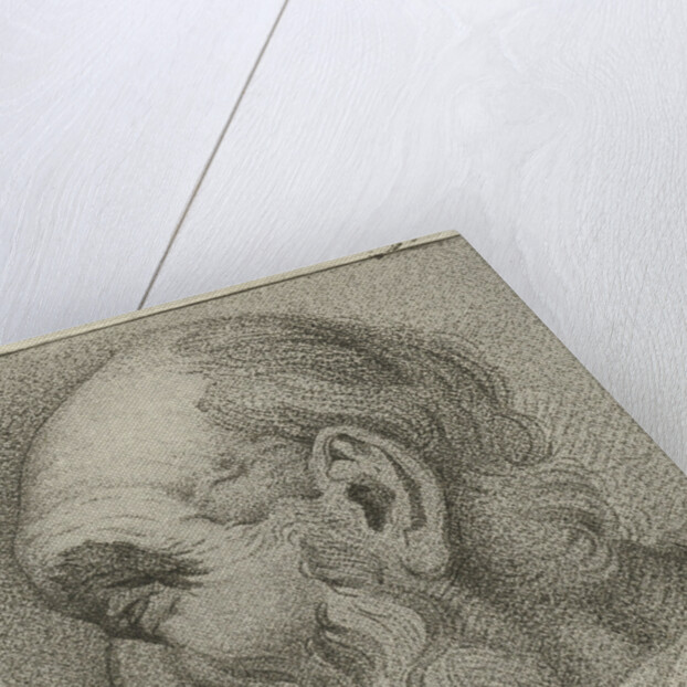 Portrait of an old man in profile by Hermanus Fock