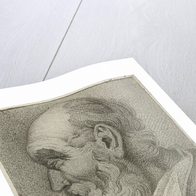 Portrait of an old man in profile by Hermanus Fock