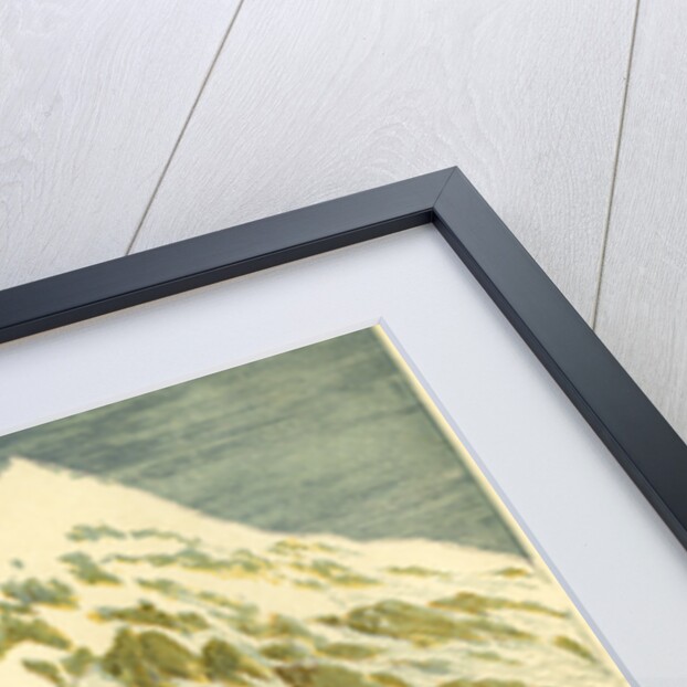 The Summit of the Aiguille Verte Switzerland by Anonymous