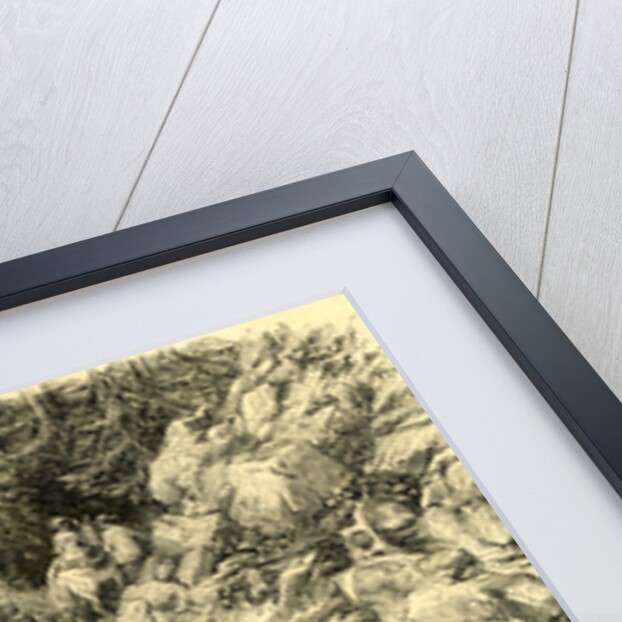 Ascending the Rigi Switzerland by Anonymous