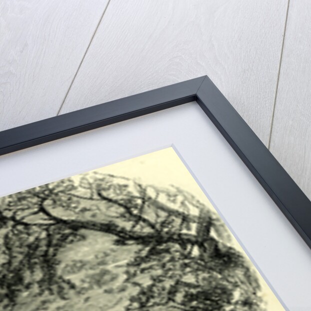 Viesch and the Upper Rhone Valley Switzerland by Anonymous