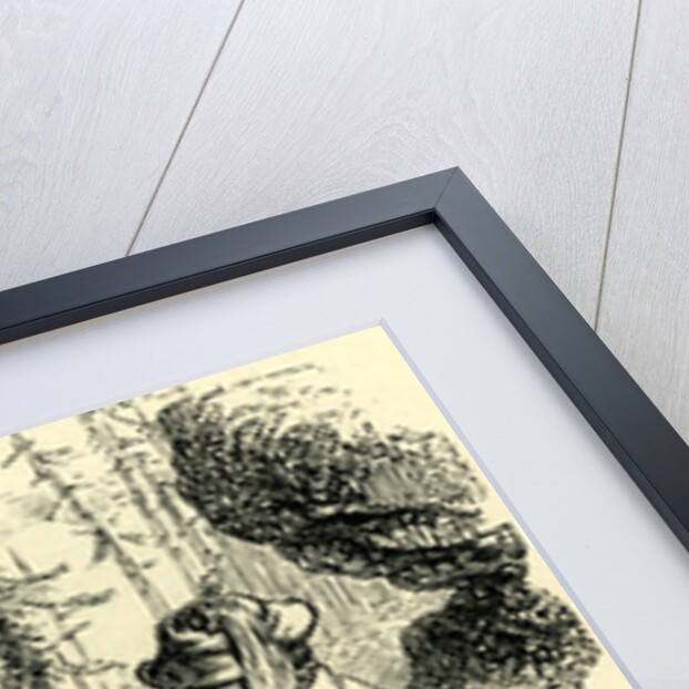 The Blanket Bag Switzerland by Anonymous