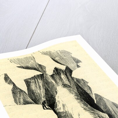 Crevasses Switzerland by Anonymous