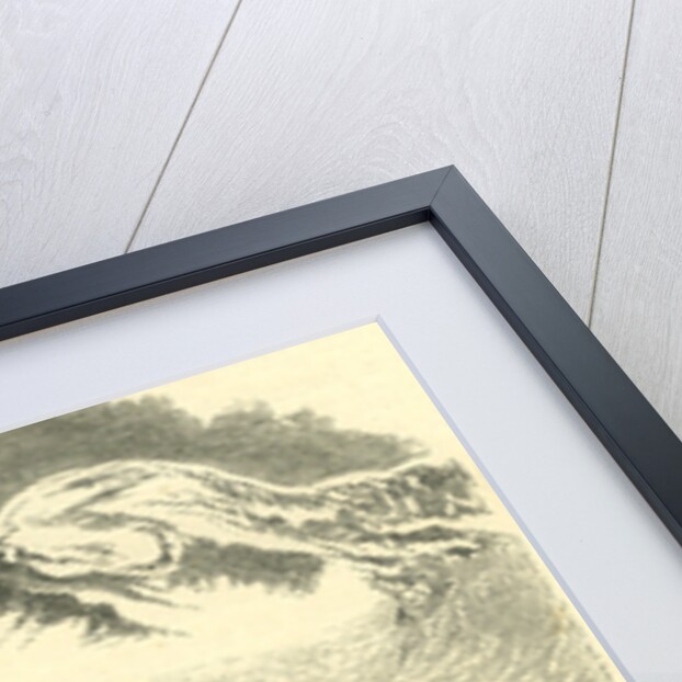 Head of the Val Anzasca Switzerland by Anonymous