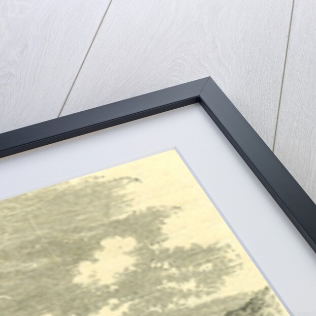 Cathedral and Platform at Berne. Switzerland by Anonymous