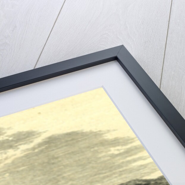 Memorial Hall of the Reformation Geneva Switzerland by Anonymous