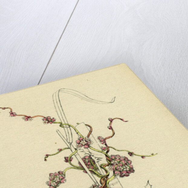 Cuscuta Europaea Greater Dodder by Anonymous