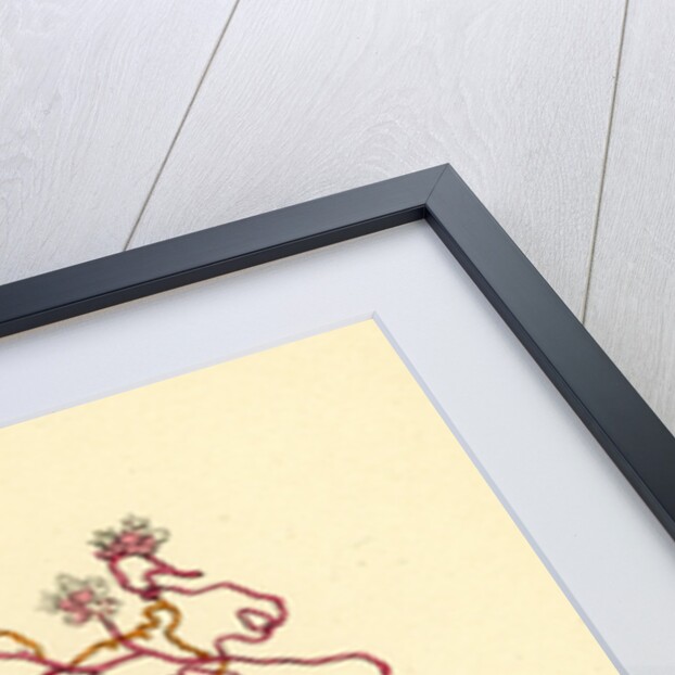 Cuscuta Epithymum Lesser Dodder by Anonymous