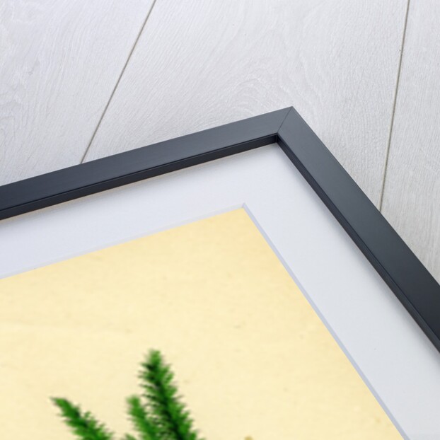 Erica Vagans Cornish Heath by Anonymous