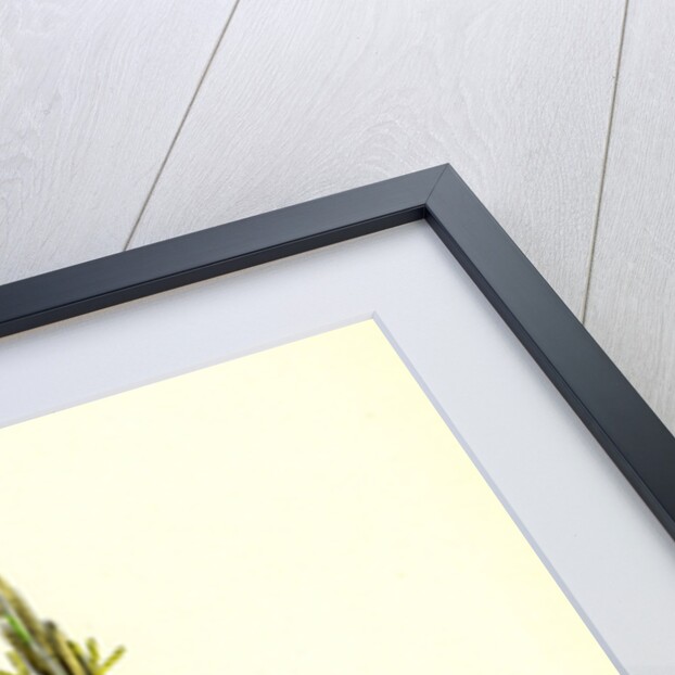 Spartina Stricta Twin-Spiked Cord-Grass by Anonymous