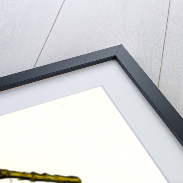 Populus Tremula Aspen by Anonymous