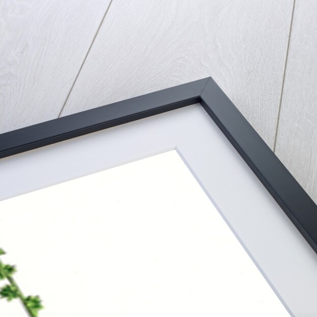 Atriplex Littoralis Var. Genuina Grass-Leaved Sea Orache Var. A. by Anonymous