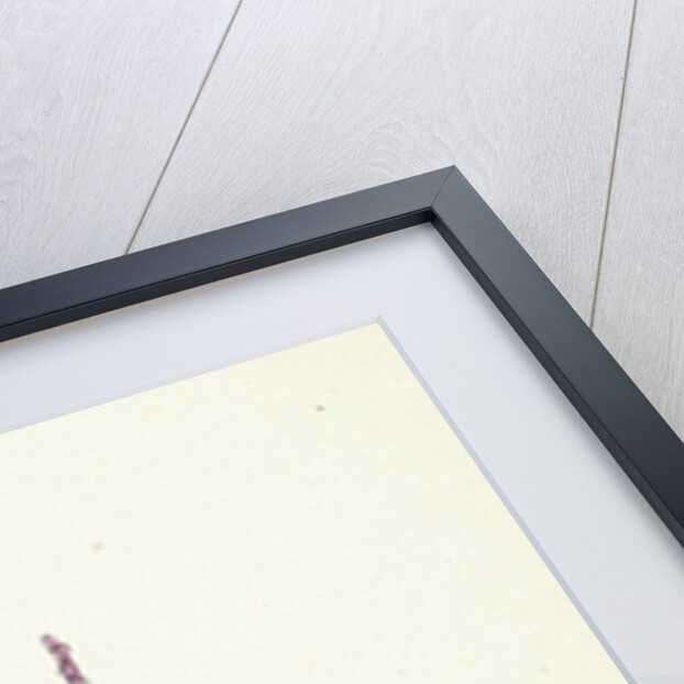 Polygonum Minus Small Persicaria by Anonymous