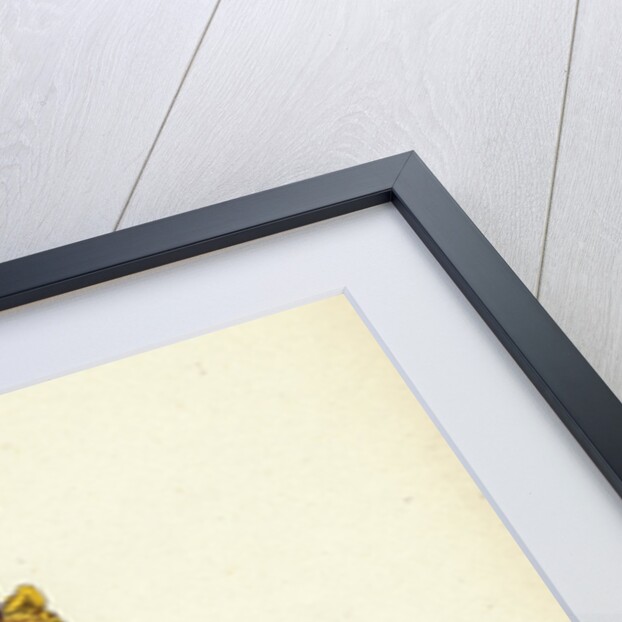 Utricularia Minor Lesser Bladderwort by Anonymous