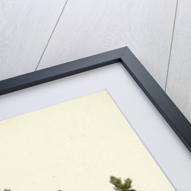 Calamintha Acinos Basil Thyme by Anonymous