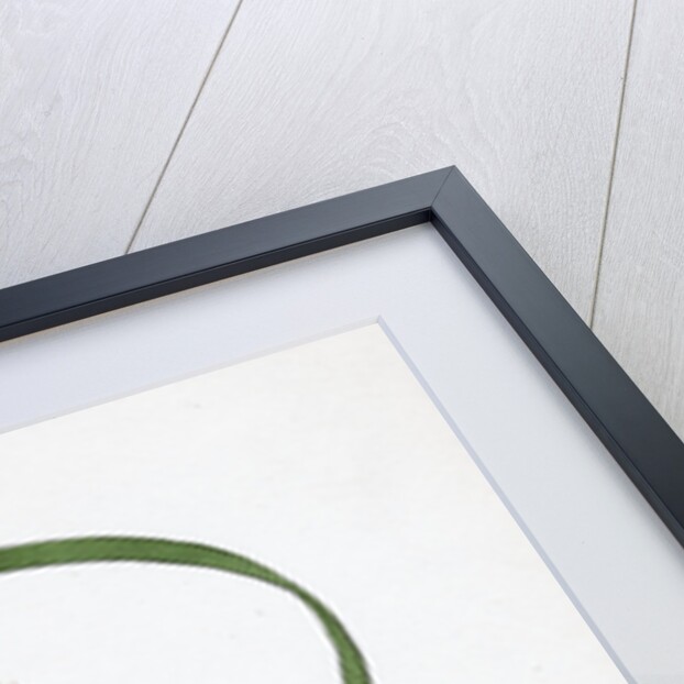 Lolium Temulentum Var. Genuinum Common Darnel Var. A. by Anonymous