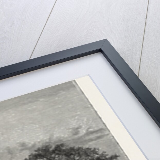 A Mosque in Pekin, China by Anonymous